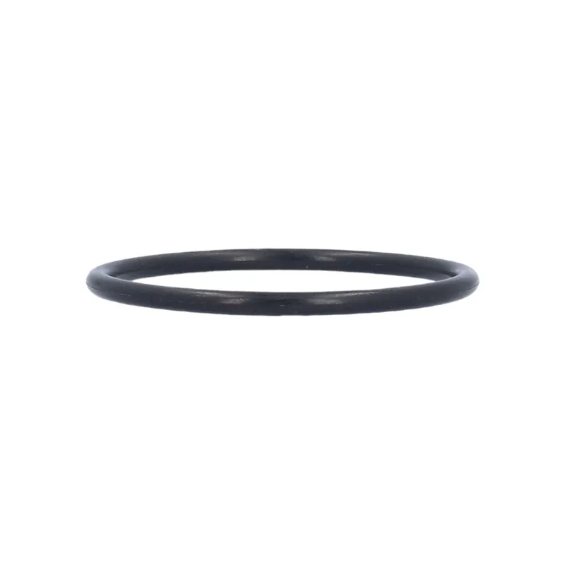Waterway O-Ring 805-0226 Get Yours