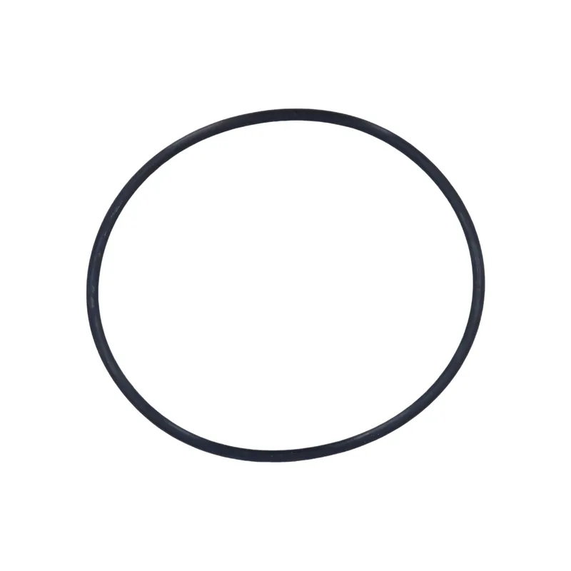 Rainbow Filter Lid O-Ring R172223 Fresh Stock