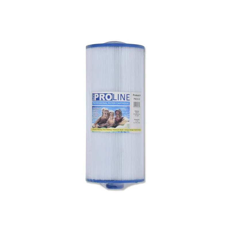 Time-Limited ProLine Spa Filter Cartridge P6CH-50