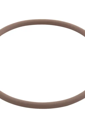 O-Ring, Viton, Zodiac Nature2 Fusion, Large Collar | R0586300 Authentic