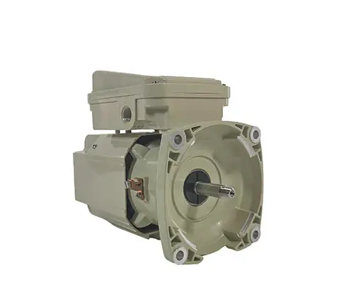Must Have Pentair Motor 356363S