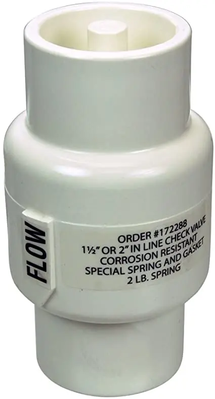 Pentair Corrosion Resistant Check Valve - R172288 Buy Direct