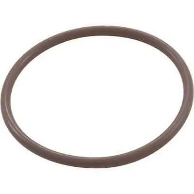 Today Only Waterway Plastics Viton O-Ring For Clearwater In-Line Chlorinator Lid - 805-0340V
