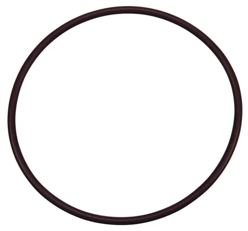 Pentair O-Ring Lid For HC-3315, HC-3330, HC-3340 High Capacity Automatic Chemical Feeder Housing - R172240 Crafted