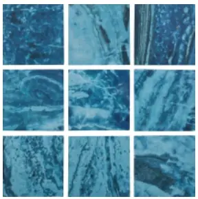 Markdown National Pool Tile 2"x2" Barbados Cobalto Mosaic Tile - CRZBARCOB MOS2
