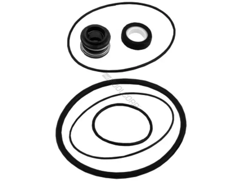 Viton Aqua-Flo Flo-Master Pump Seal Kit Place Order