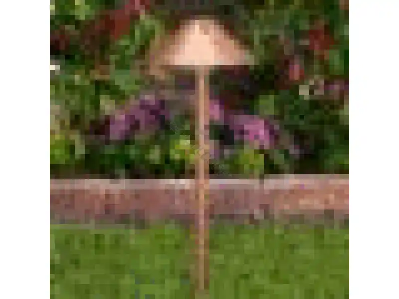 Don't Miss Out Led Copper Path Light
