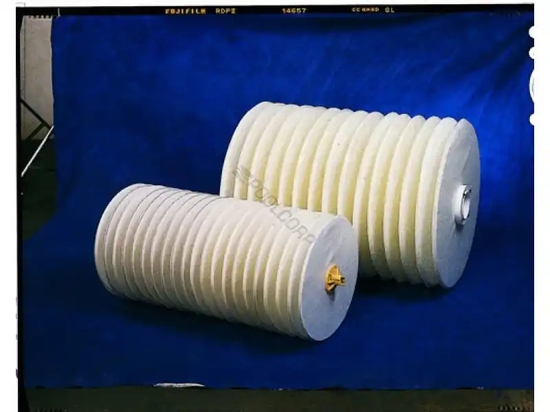 Don't Miss Out Champion FD-2400-04 24.5" Diameter 4" Core Paddock Disc