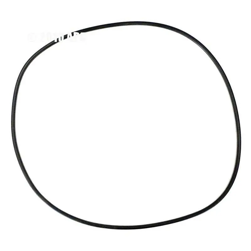 Same Day Shipping Hayward - Body O-Ring