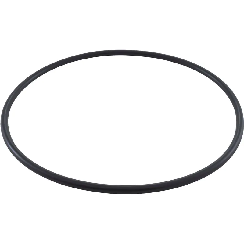 Bargain All Seals - Replacement Filter Lid O-Ring for Hayward Pro Series