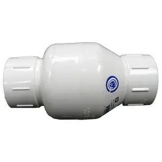 Flo-Controls - Valve, Check 2in. S x S Spring Secure Checkout